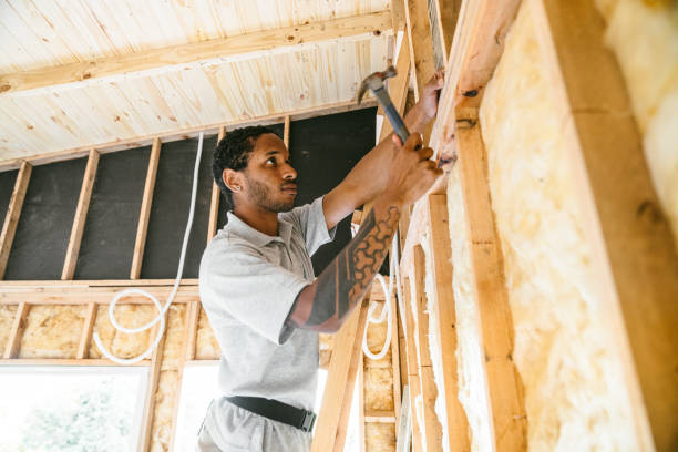 Best Attic Insulation Installation  in Roma, TX